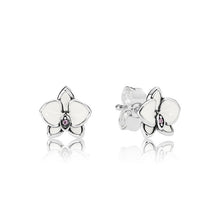 Load image into Gallery viewer, 9 Style  Silver Charms Earrings
