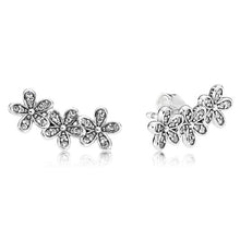 Load image into Gallery viewer, 9 Style  Silver Charms Earrings