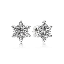 Load image into Gallery viewer, 11 Style 925 Sterling Silver Earrings