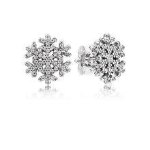 Load image into Gallery viewer, 11 Style 925 Sterling Silver Earrings